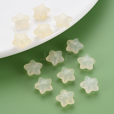 Transparent Acrylic Beads LS-MACR-S373-26E-11-1