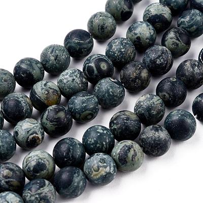 Frosted Natural Kambaba Jasper Beads Strands G-M272-14-6mm-1