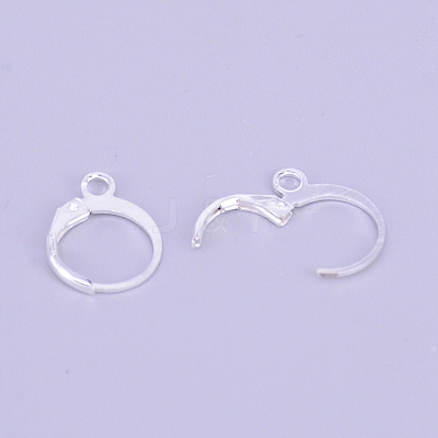 Brass Leverback Earring Findings LS-KS-TAC0003-12S-1