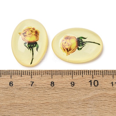 Transparent Resin Cabochons LS-RESI-K033-11B-1