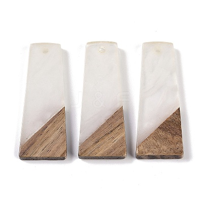 Resin & Wood Pendants WOOD-F015-04D-1
