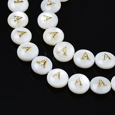Natural Freshwater Shell Beads SHEL-S276-168A-1