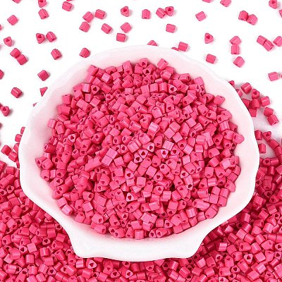 FGB Baking Paint Glass Seed Beads SEED-Q040-09A-04-1