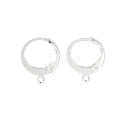 316L Surgical Stainless Steel Leverback Earring Findings STAS-F075-38S-1