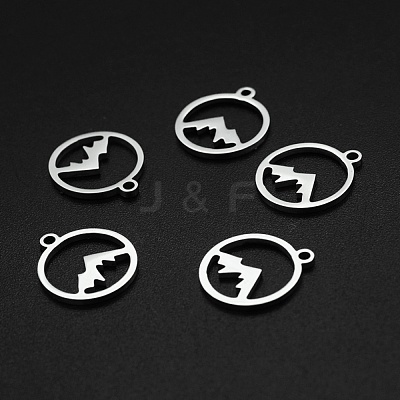 Non-Tarnish 201 Stainless Steel Charms STAS-N090-LA003-1