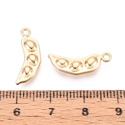 Alloy Pendants PALLOY-T092-45G-1