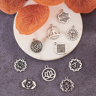 100Pcs 10 Styles Tibetan Style Alloy Pendants TIBEP-CJ0001-50-1