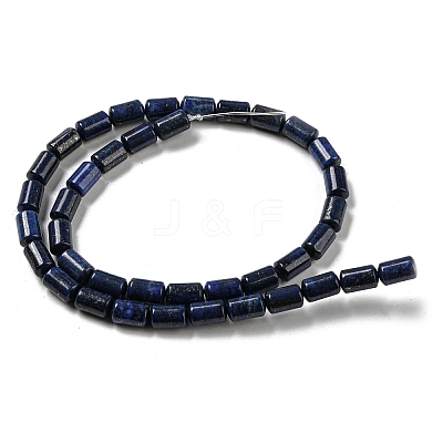 Natural Lapis Lazuli Beads Strands G-M420-E02-03-1