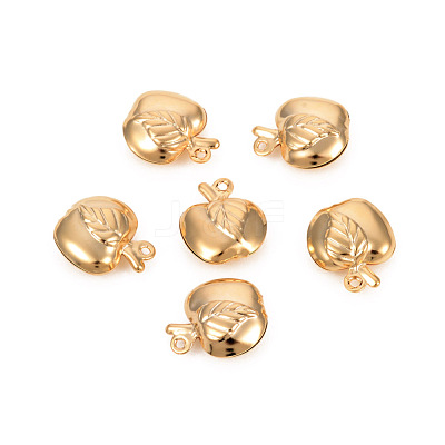 304 Stainless Steel Charms STAS-L244-12G-1