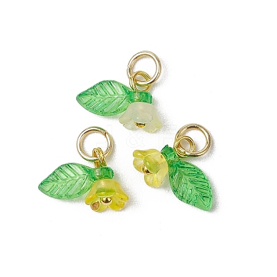 36Pcs Frosted Acrylic Flower & Leaf Charms PALLOY-JF03552-1