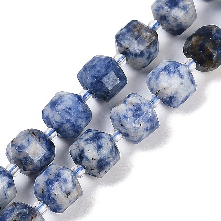 Natural Blue Spot Jasper Beads Strands G-B125-O02-01-1