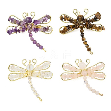 Natural Gemstone & Brass & Iron Brooches JEWB-H034-01G-1
