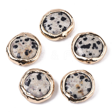 Natural Dalmatian Jasper Beads G-S359-112-1