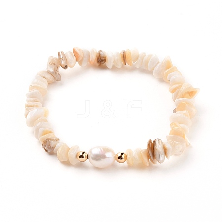 Chip Natural Shell Stretch Beaded Bracelets BJEW-JB05727-01-1