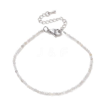 Natural Labradorite Round Beads Bracelets BJEW-JB09390-03-1