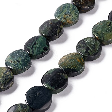 Natural Kambaba Jasper Beads Strands G-O120-16-1