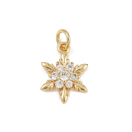 Brass Micro Pave Cubic Zirconia Charms LS-KK-H077-02G-05-1