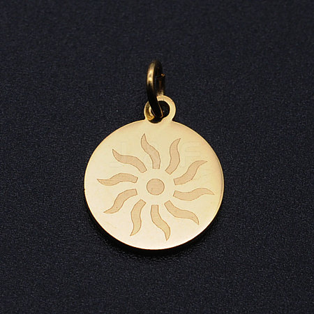 201 Stainless Steel Charms STAS-T049-T684-2-1
