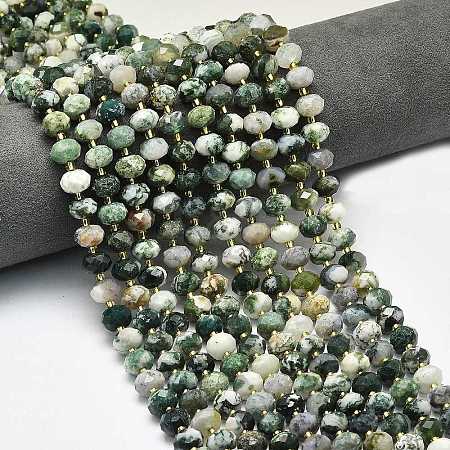 Natural Tree Agate Beads Strands G-P573-A17-01-1