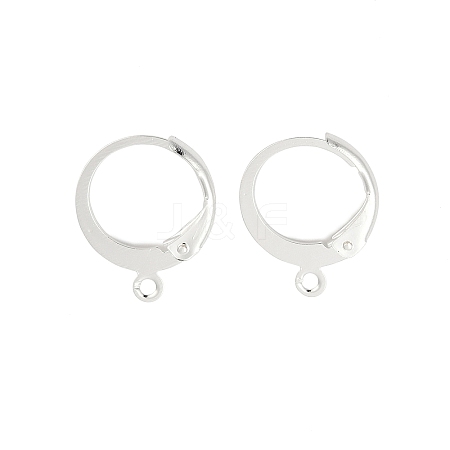 316L Surgical Stainless Steel Leverback Earring Findings STAS-F075-38S-1