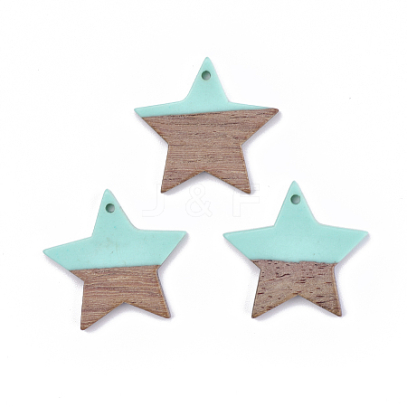 Resin & Wood Pendants LS-X-RESI-T023-23C-1