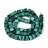 Natural Malachite Beads Strands G-Q608-24-3