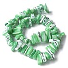 Dyed Natural Trochus Shell Beads Strands SSHEL-C013-09H-2
