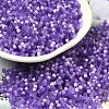 Glass Bugle Beads SEED-B001-03A-14-1