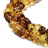 Natural Amber Beads Strands G-L095-L01-04-4