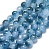 Natural Malaysia Jade Beads Strands G-L645-C01-10mm-24-1