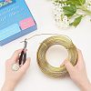Round Anodized Aluminum Wire AW-NB0001-01D-G-6