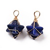 Natural Lapis Lazuli Dyed Copper Wire Wrapped Pendants G-B041-02G-13-2