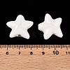 Handmade Porcelain Beads PORC-N008-03F-3