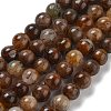 Natural Yellow Tiger Eye Beads Strands G-H238-8mm-2