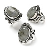 Natural Labradorite Adjustable Rings RJEW-I108-01AS-03-4