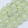 Natural Prehnite Beads Strands G-L478-37-8mm-1