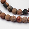 Natural Polychrome Jasper/Picasso Stone/Picasso Jasper Beads Strands G-D809-03-6mm-3