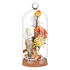 Glass Dome Cover AJEW-WH0604-68B-1