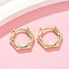 Pentagon Brass Micro Pave Clear Cubic Zirconia Hoop Earrings EJEW-Z102-04G-1
