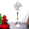 Crystal Glass Sun Catcher Pendant PW-WG8D0B8-05-1