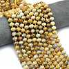 Natural Fossil Coral Beads Strands G-P573-A02-01-1