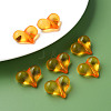 Transparent Acrylic Beads MACR-S373-70-B16-2