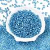 Baking Paint Transparent Glass Seed Beads SEED-N006-05L-2