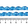 Transparent Glass Beads Strands EGLA-N013-T6mm-D17-4