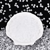 FGB Frosted Transparent Glass Seed Beads SEED-N013-03A-01-2