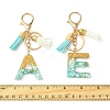 Transparent Epoxy Resin Pendant Keychains KEYC-FS00022-13-3