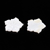 Natural Freshwater Shell Carved Cabochons SSHEL-T017-03-2