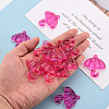 Transparent Acrylic Pendants TACR-T024-01B-906-5