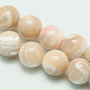 Natural Sea Shell Round Bead Strands SSHEL-M013-10mm-02-1