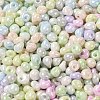 6/0 Glass Seed Beads X1-SEED-M012-01A-01-3